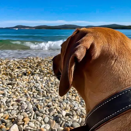 Baka Mara 2 * Biograd Na Moru